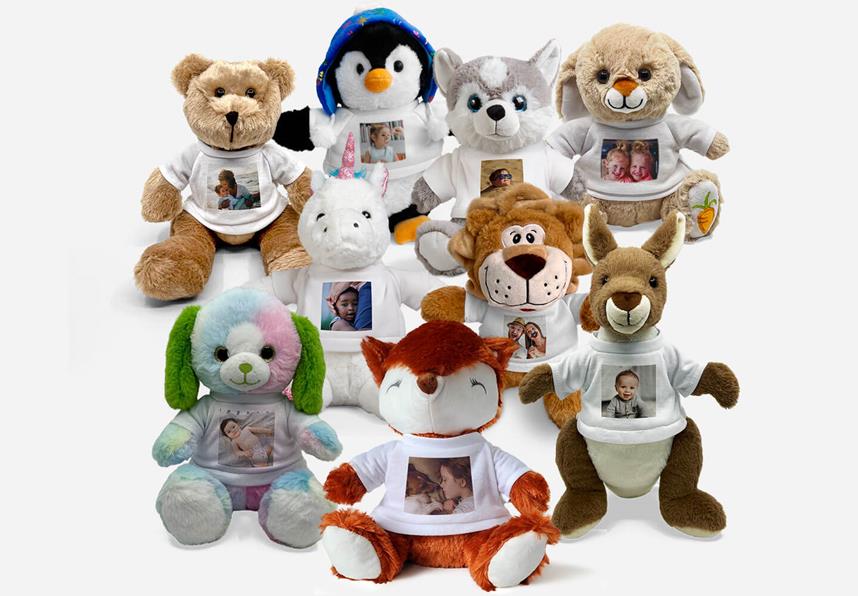 Custom Teddies Custom Teddies