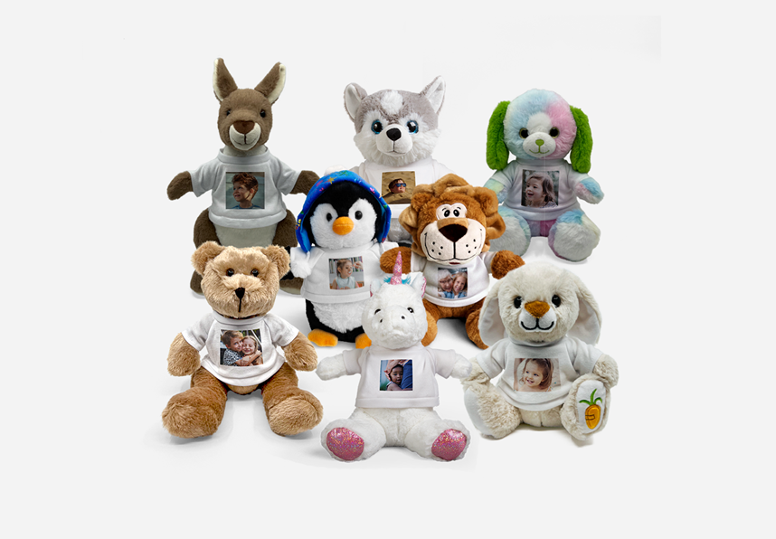 Custom Teddies