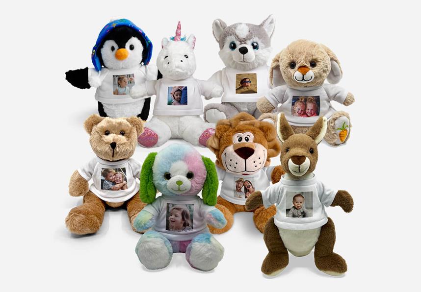 Custom Teddies