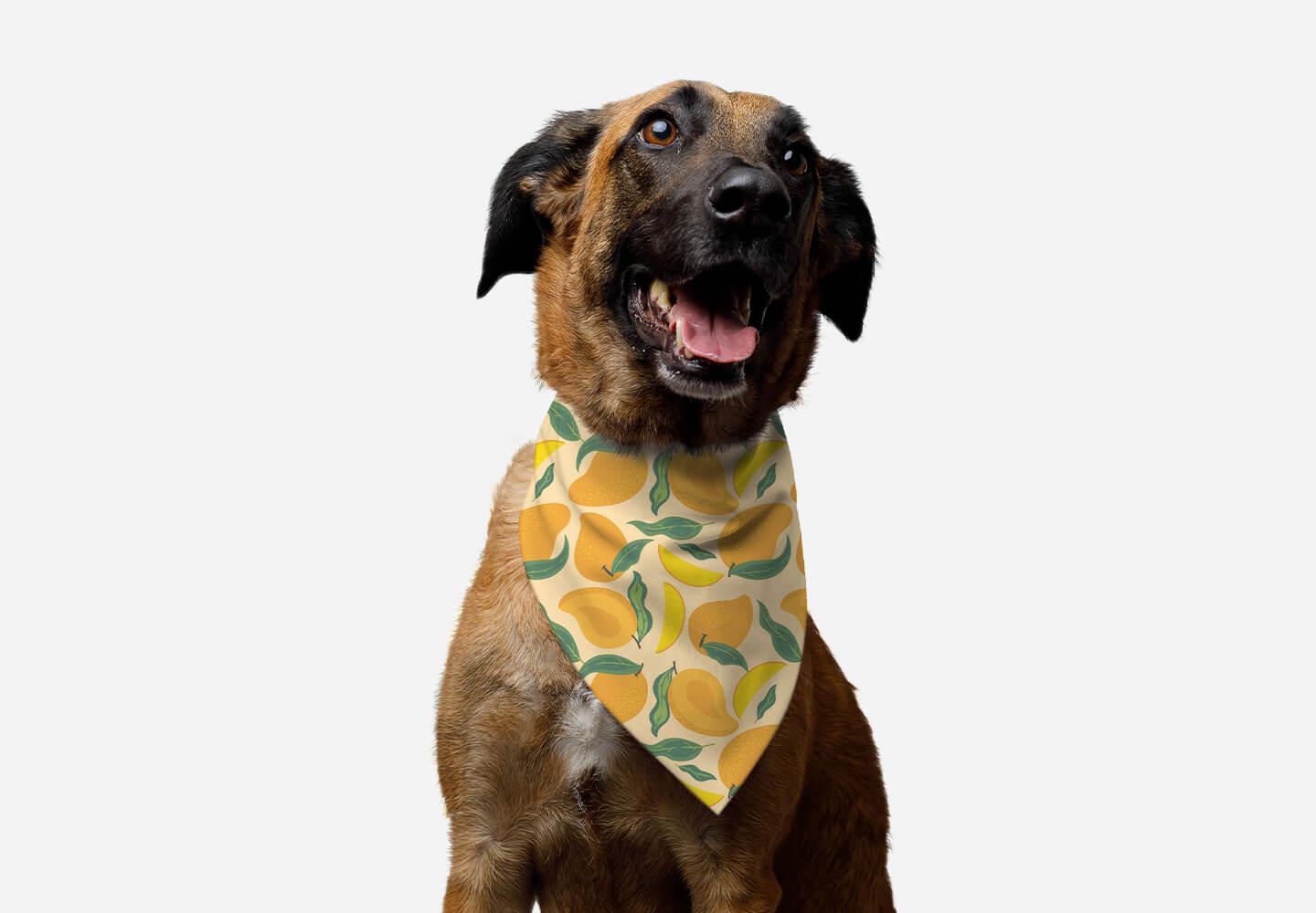 Pet bandana