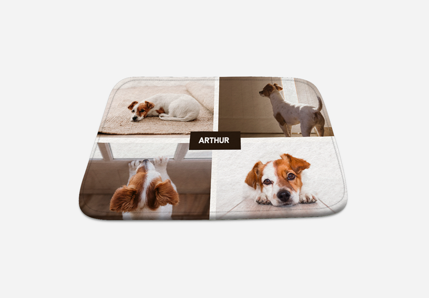 Pet Mat